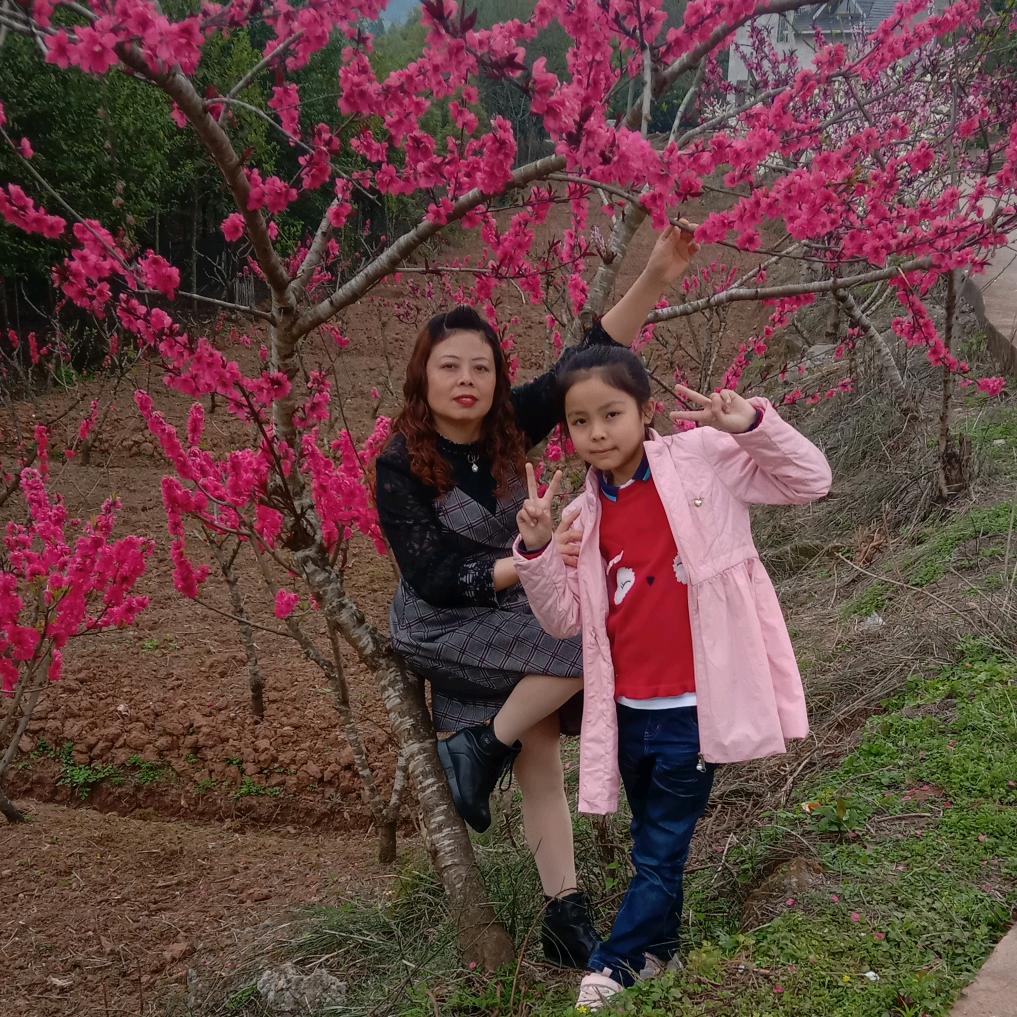 不经风雨怎见彩虹