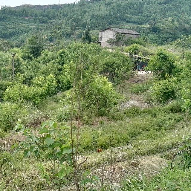 生活就是一场戏