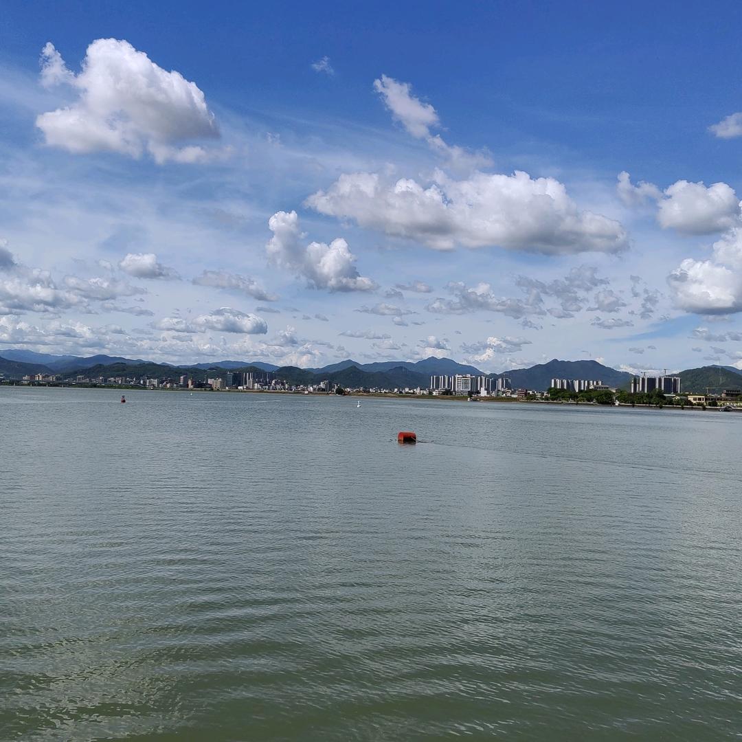 海魂衫
