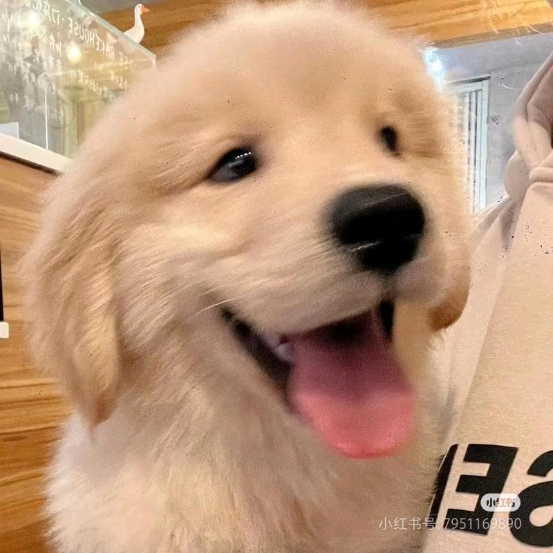 开心就好！
