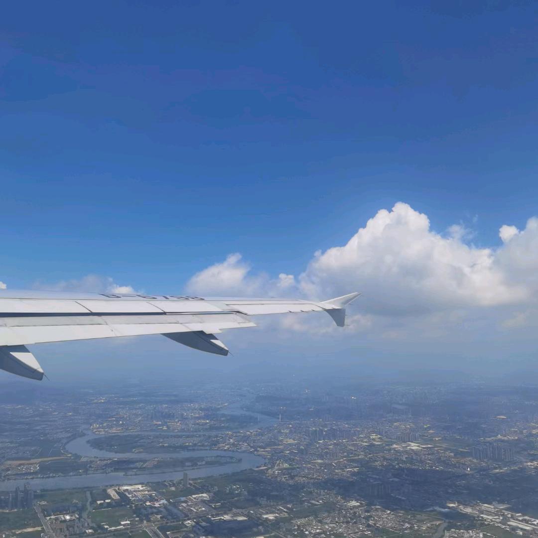 向着太阳迎着光