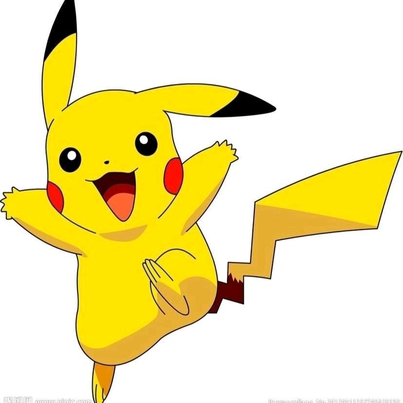 皮卡丘又又又来曲阜开玉咯