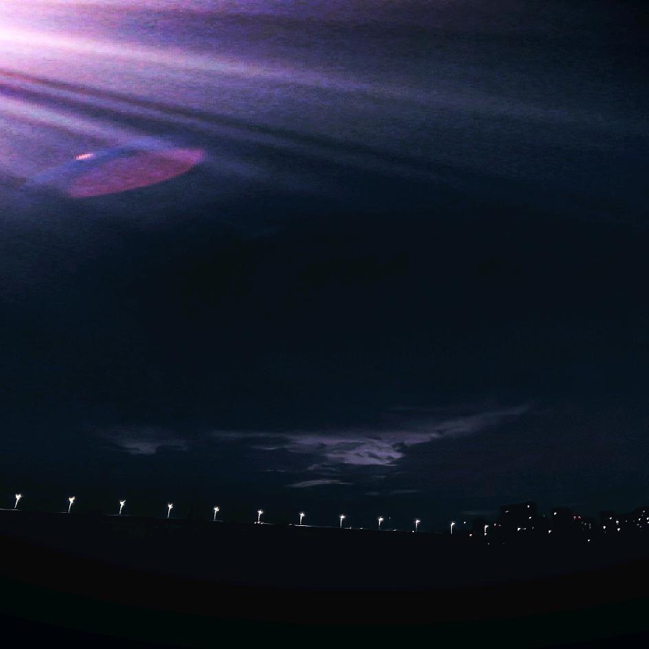 大地林语