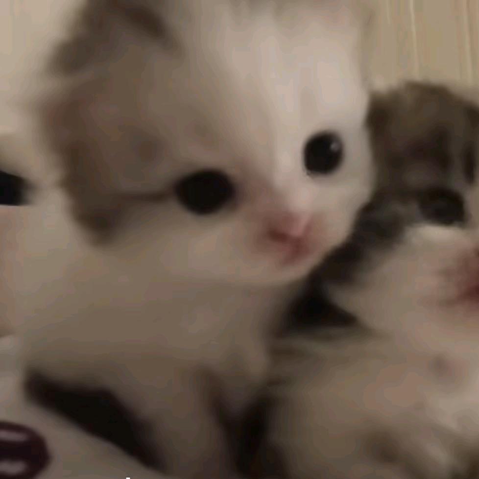 188猛男网恋装萝莉奔现被当小三痛殴