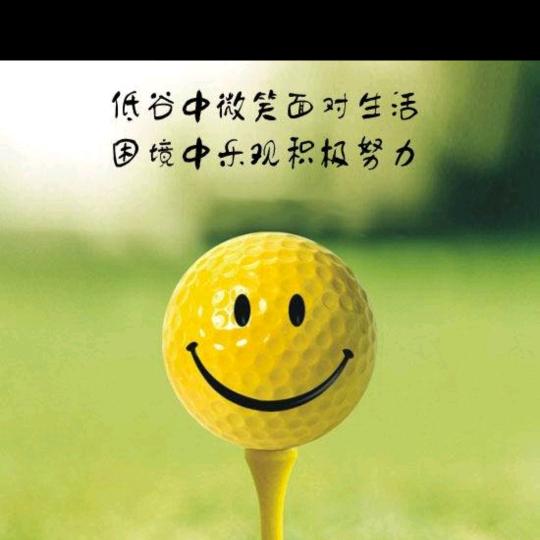 向阳而生🐰🐰🌻🌻