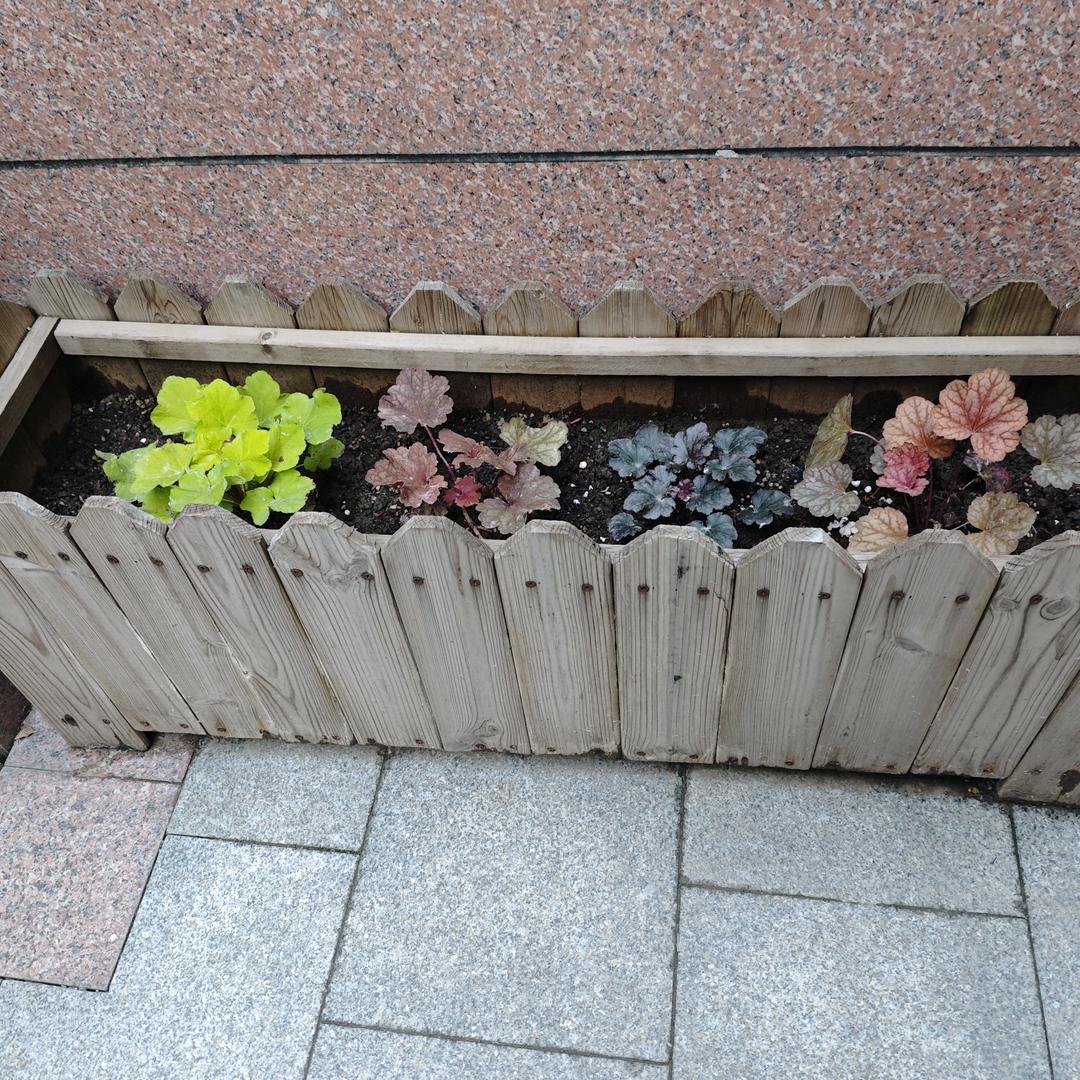 爱在股市，盼奶