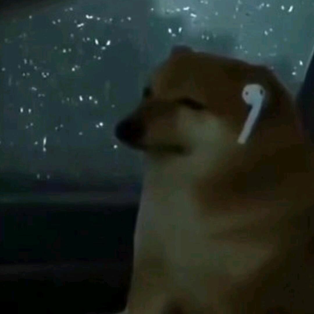 风乎舞雩，咏而归