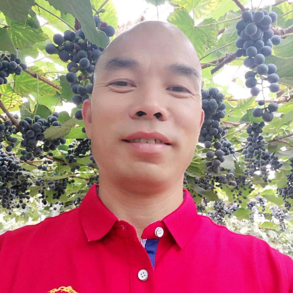 梁庄兵