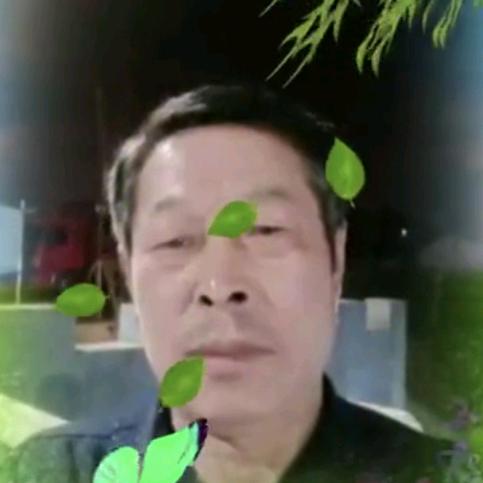 生龙活虎
