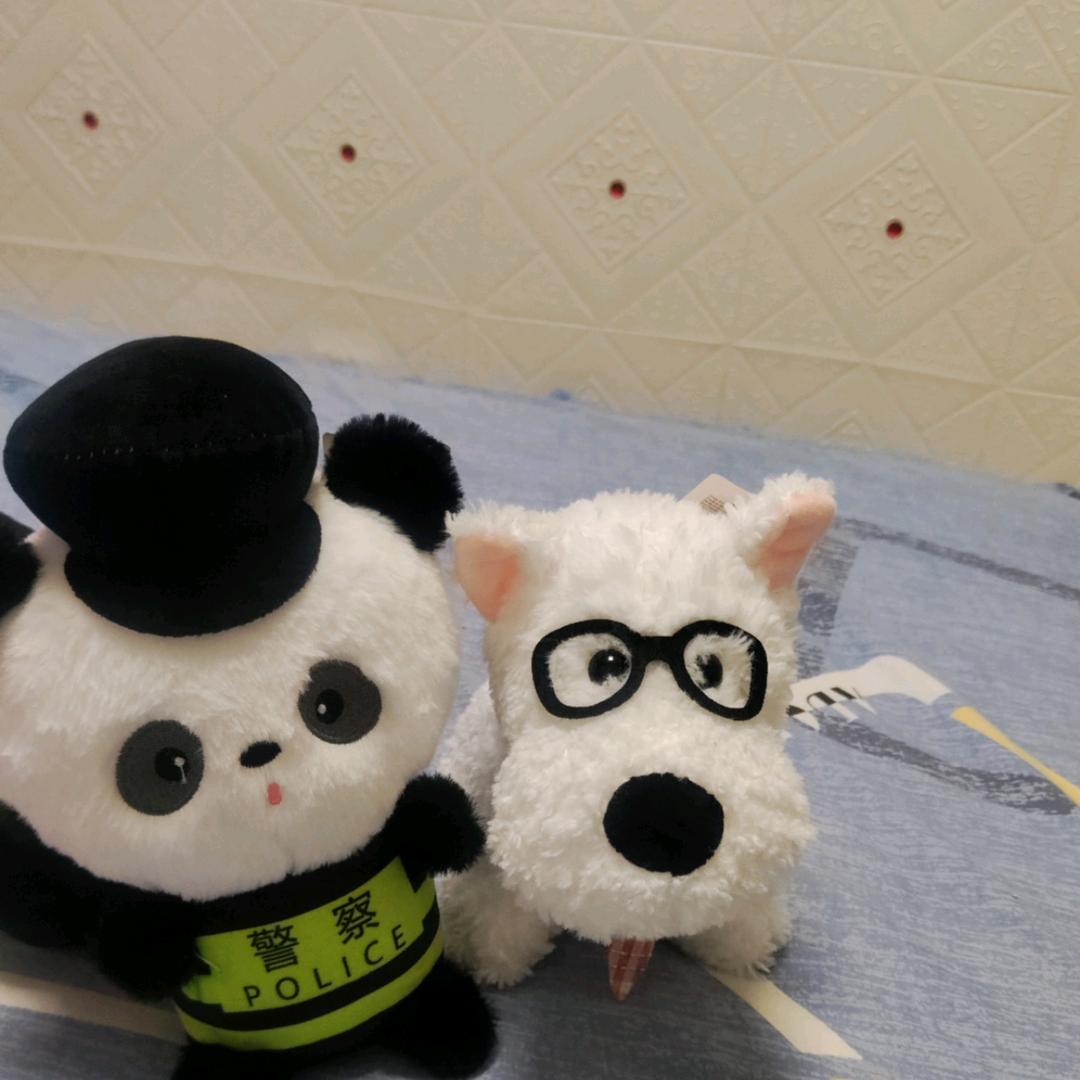 奔跑吧兄弟