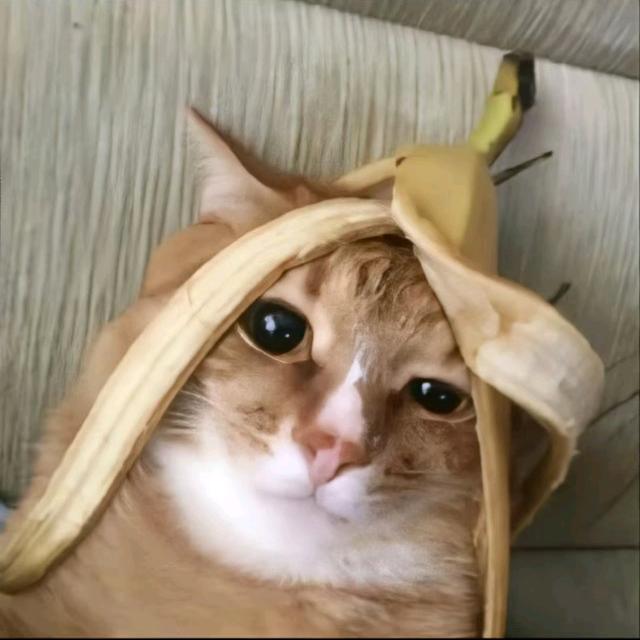 憬欲
