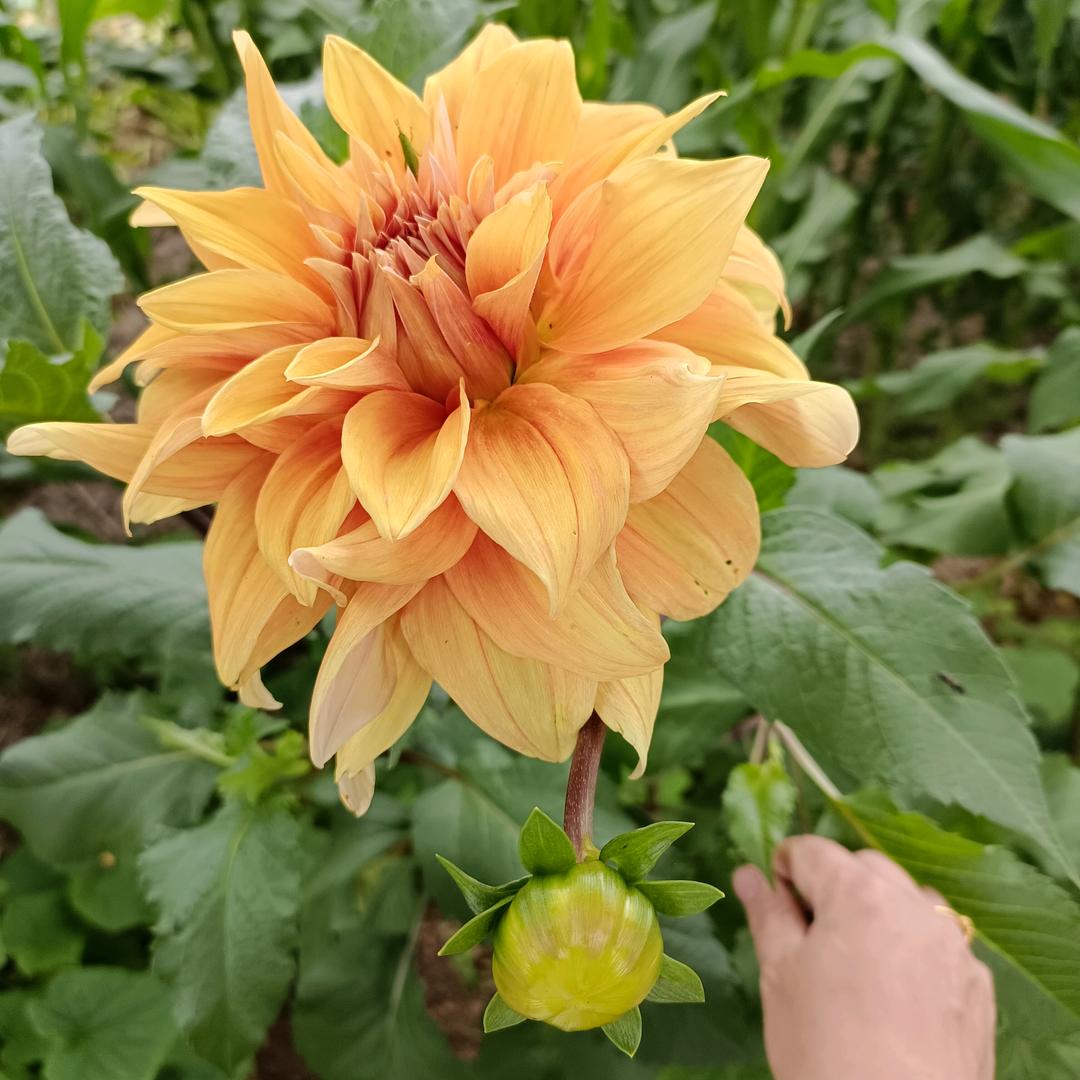 最熟悉的陌生人。5月23号，晚7点。