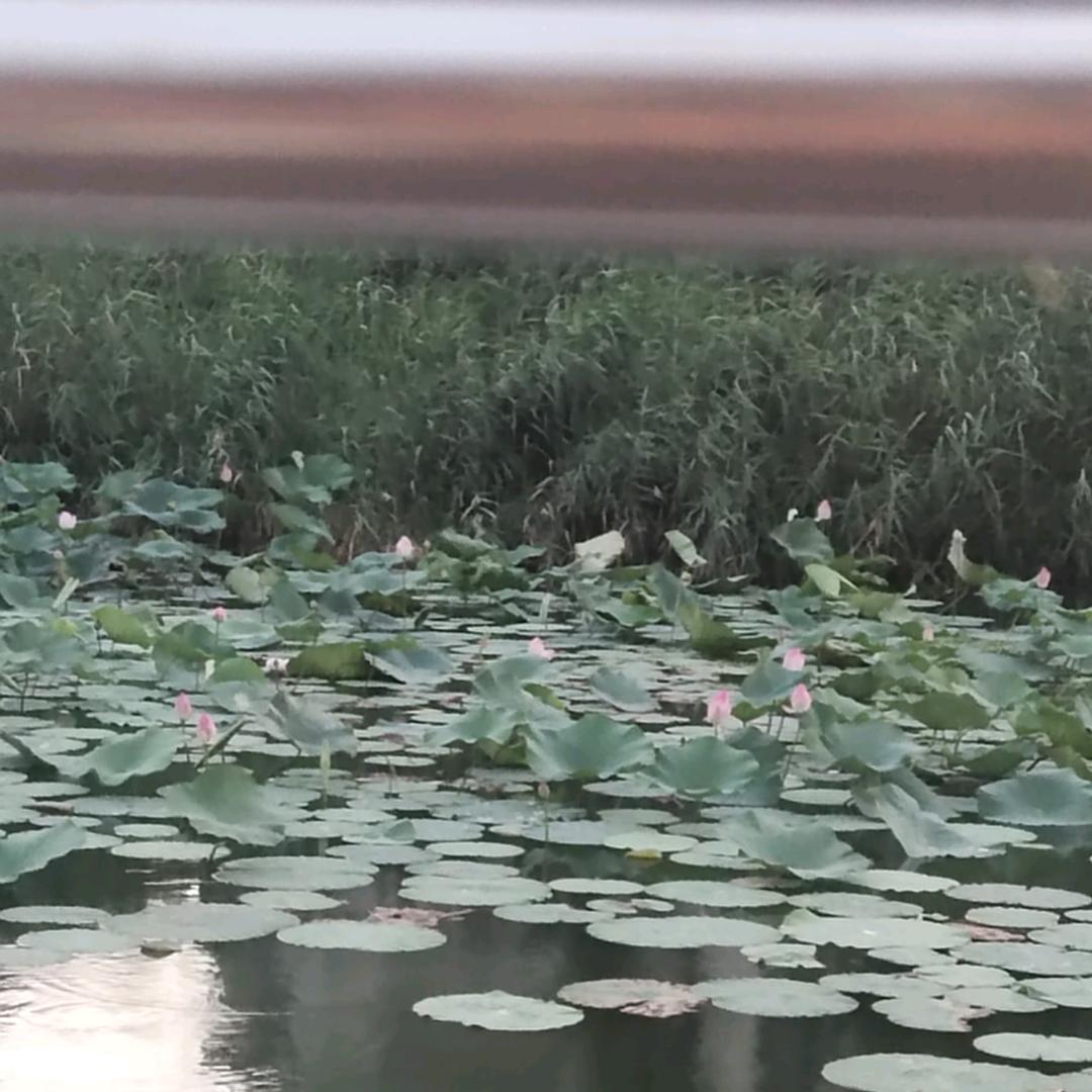 用户897