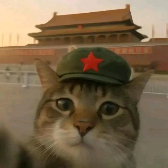 十画生