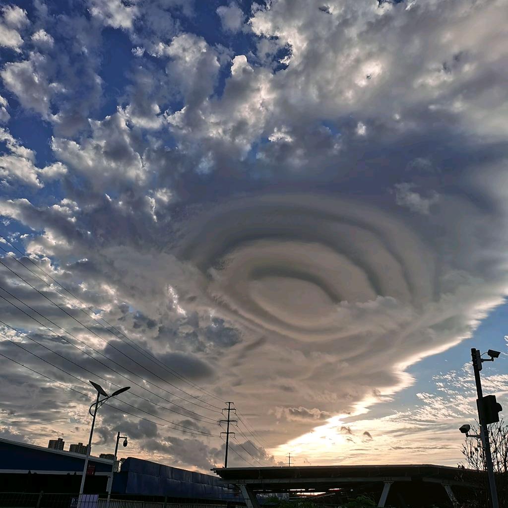 大地林语