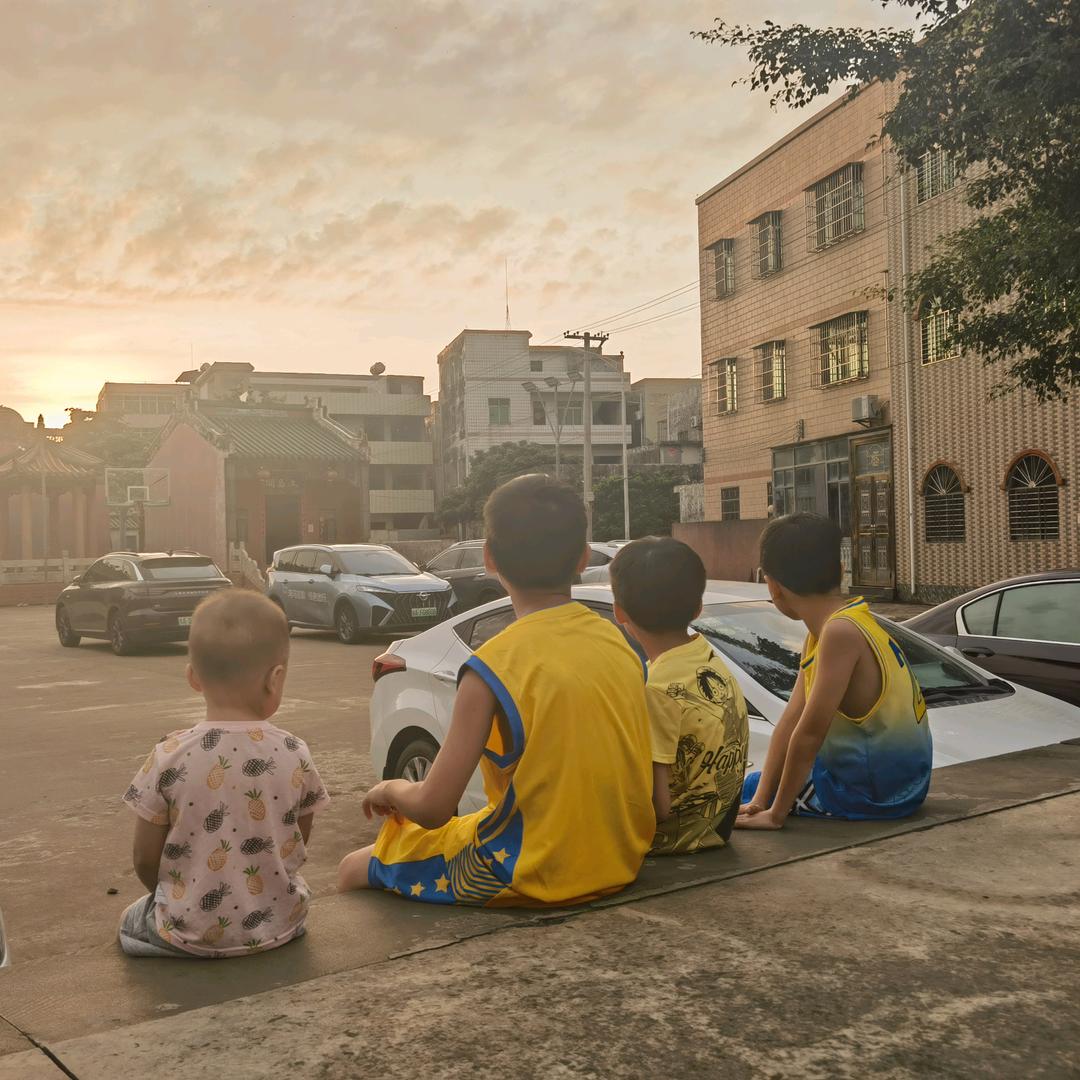 全世界种满香菜