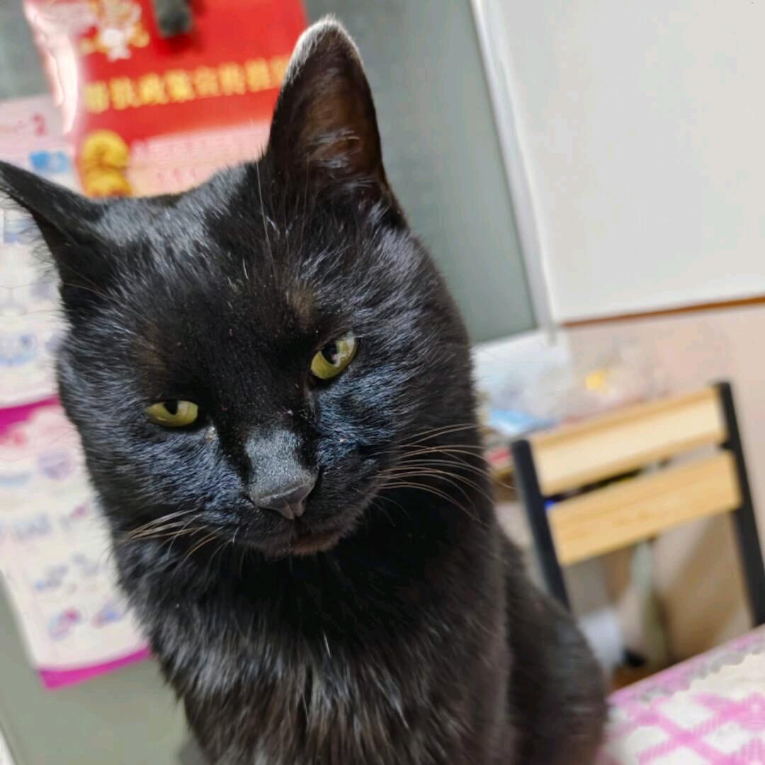 可能否