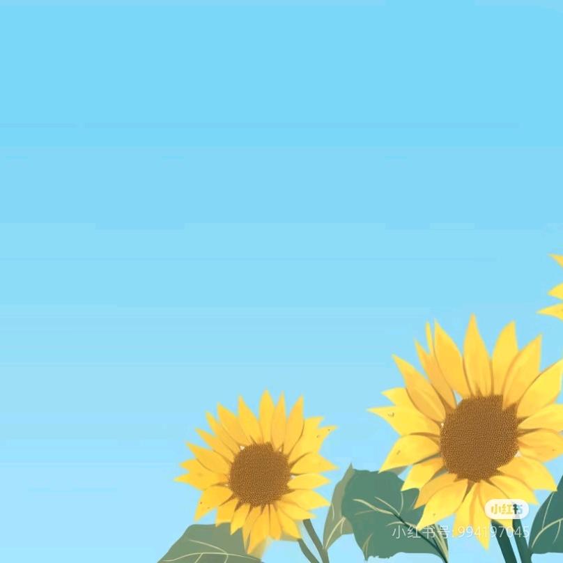 快乐😁的向日葵🌻