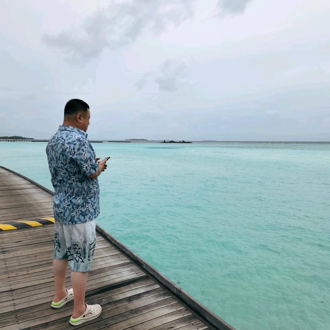 丁丽君