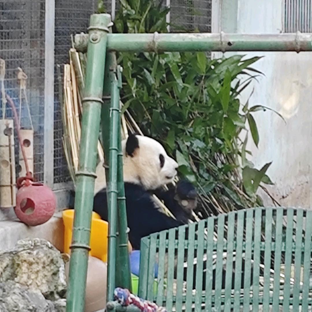 👉🏻以安