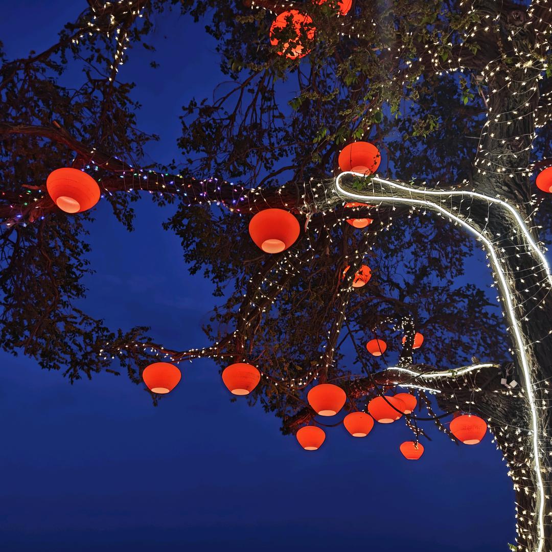 我对人类不感兴趣