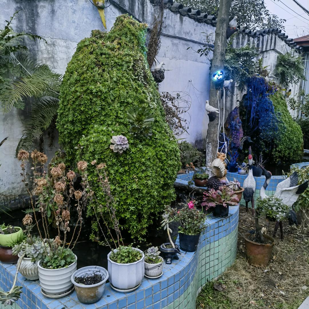 羚康农牧（沈航）