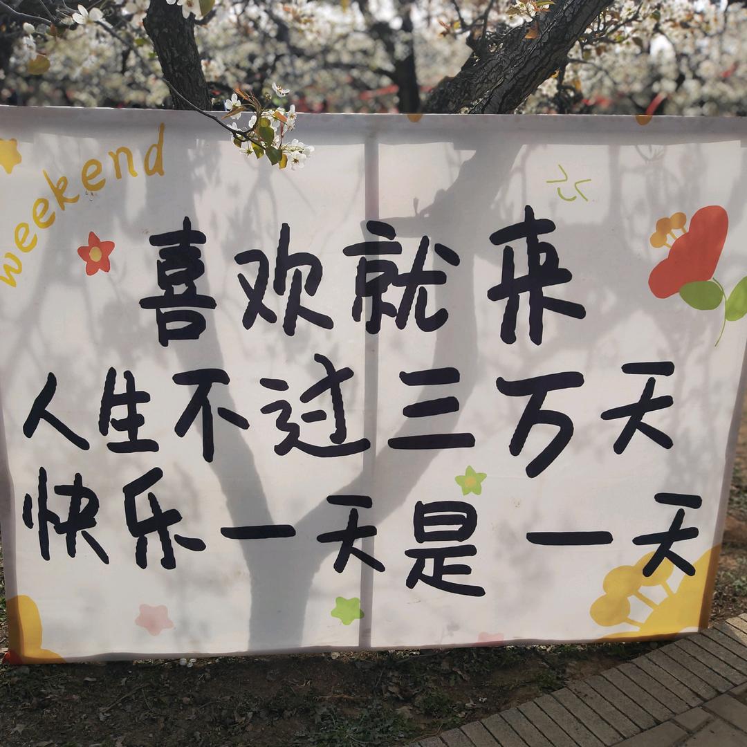 所见所闻