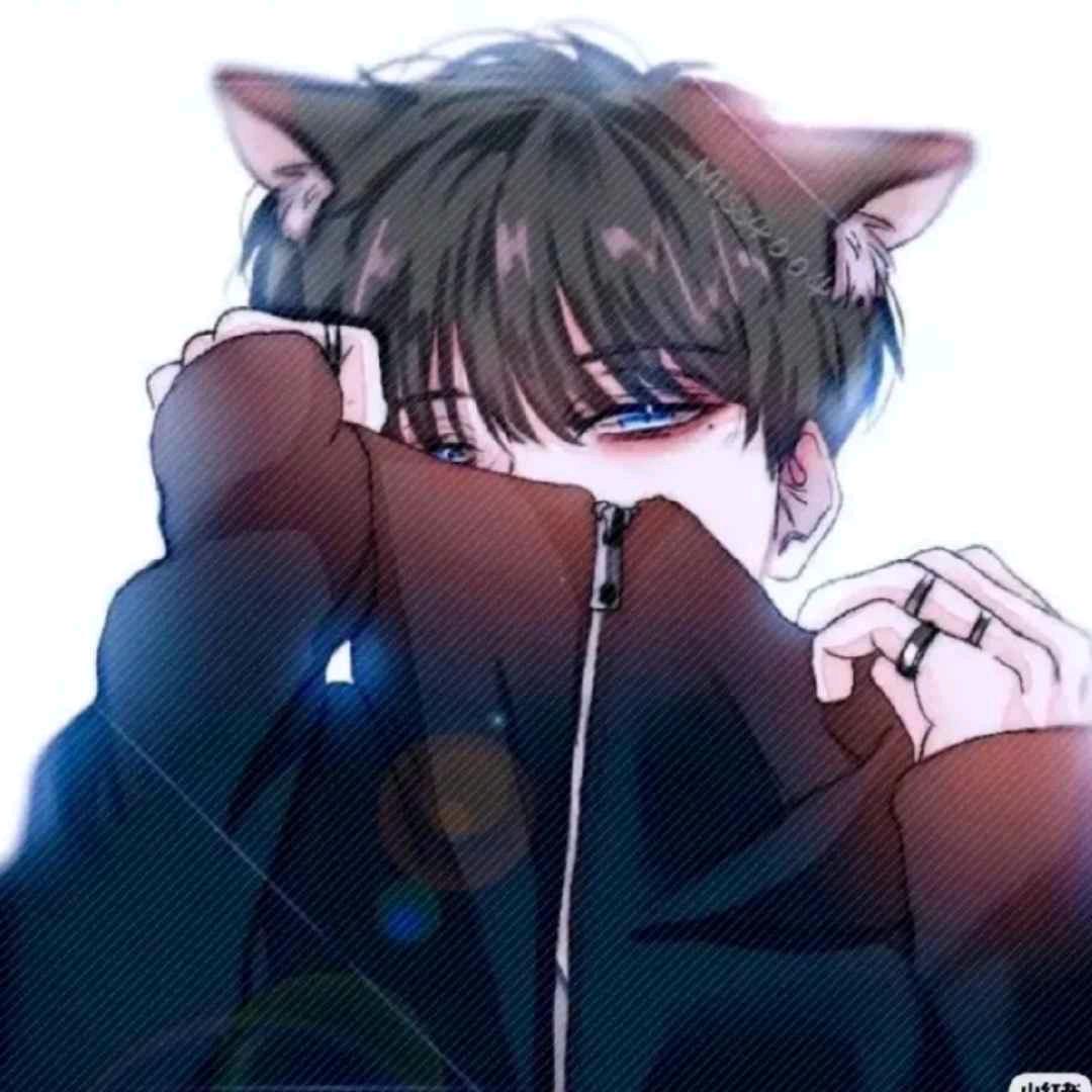 纳情爱象棋