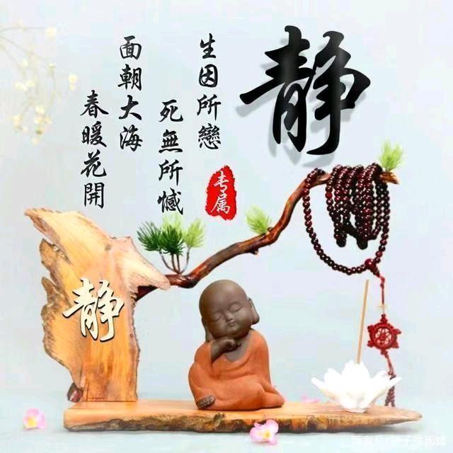苦涩的糖果