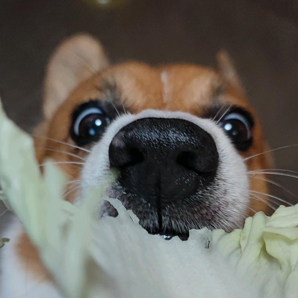 🌞无敌小晨晨🌞（♥天天开心❤️）