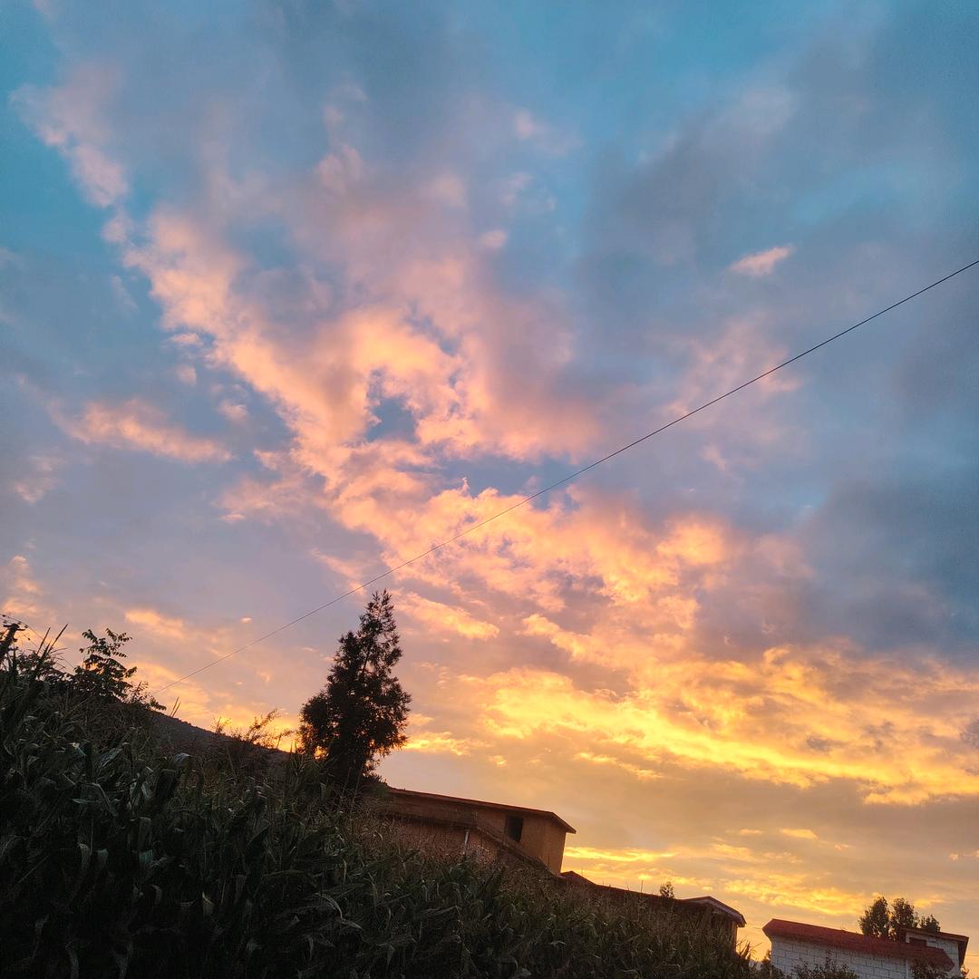 璐璐己⬇️3.8🥩