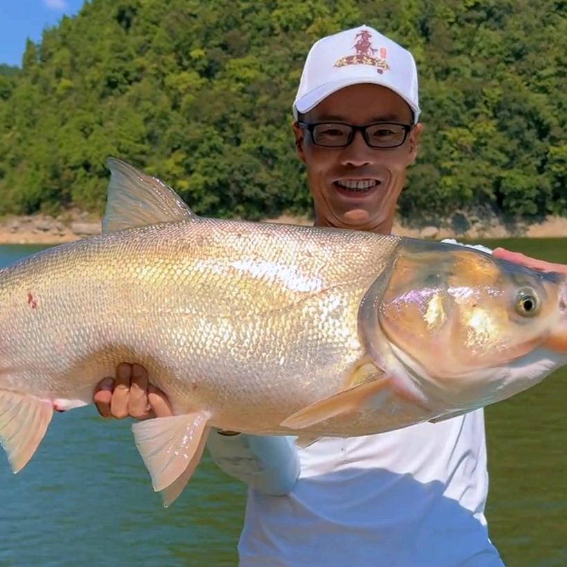 曾大盆江湖行