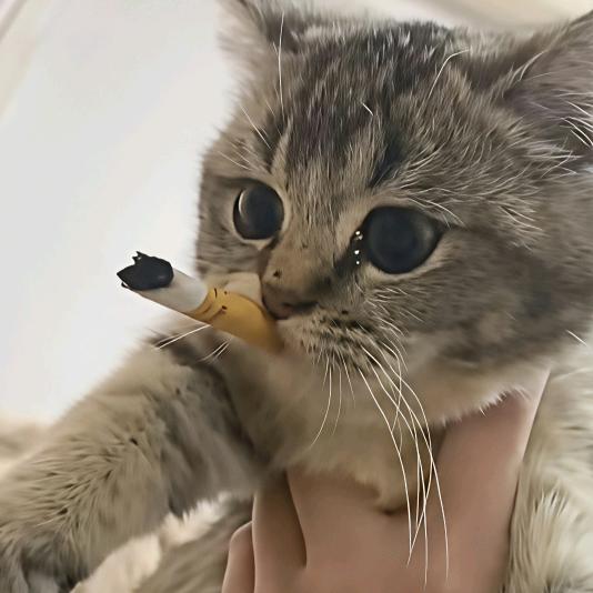 等风来_