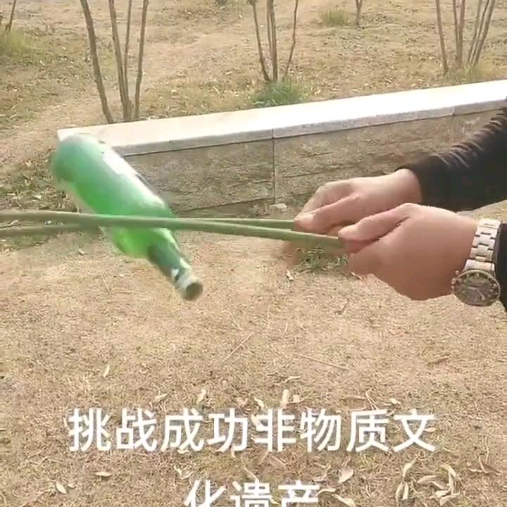 故乡安徽，王朕