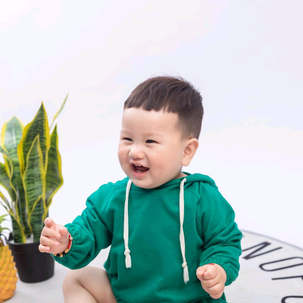 菲琳