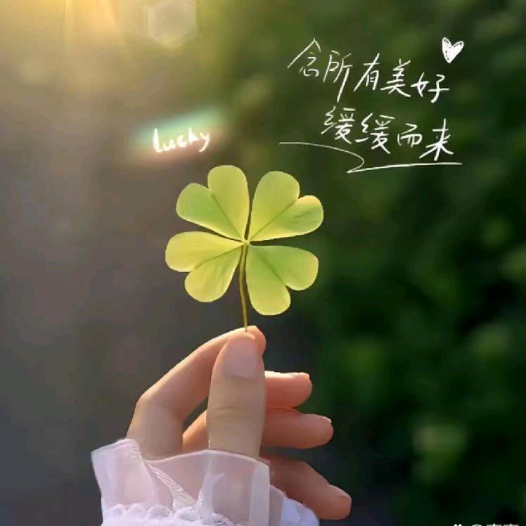 🍀小幸运🍀