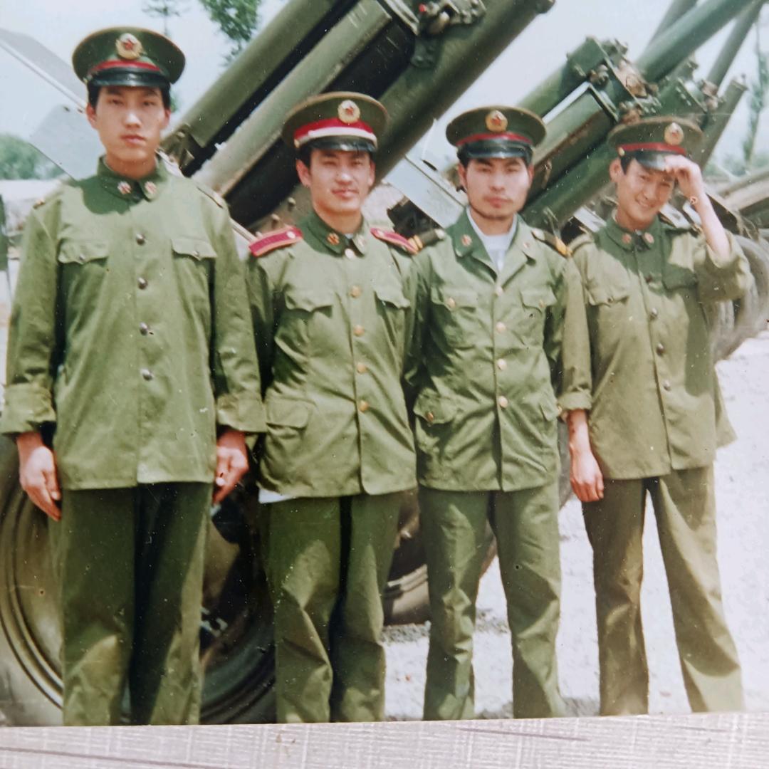 胡杨