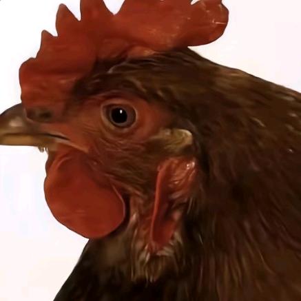 小黄庄第一韩信