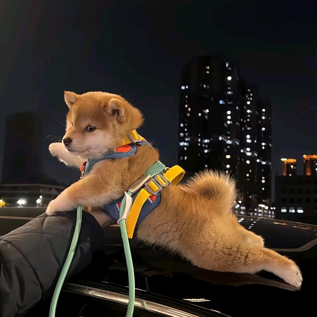 一万年太久