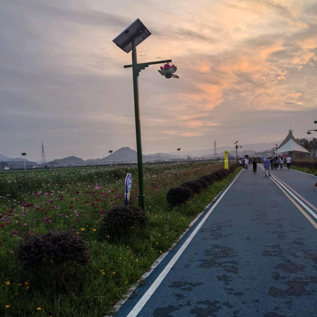 (͡° ͜ʖ ͡°)张   刚❃Ⴃ