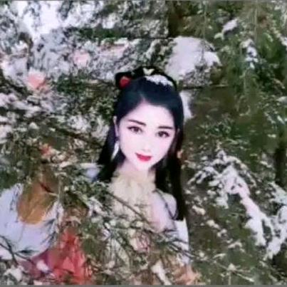 侯总