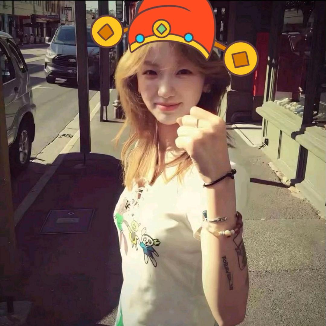 会飞的小宝.🐋