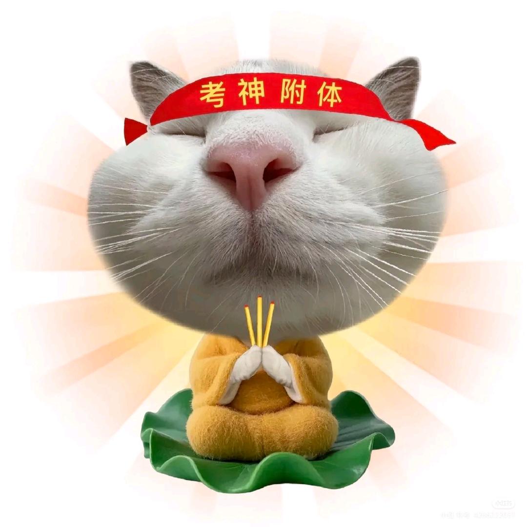 二战考公