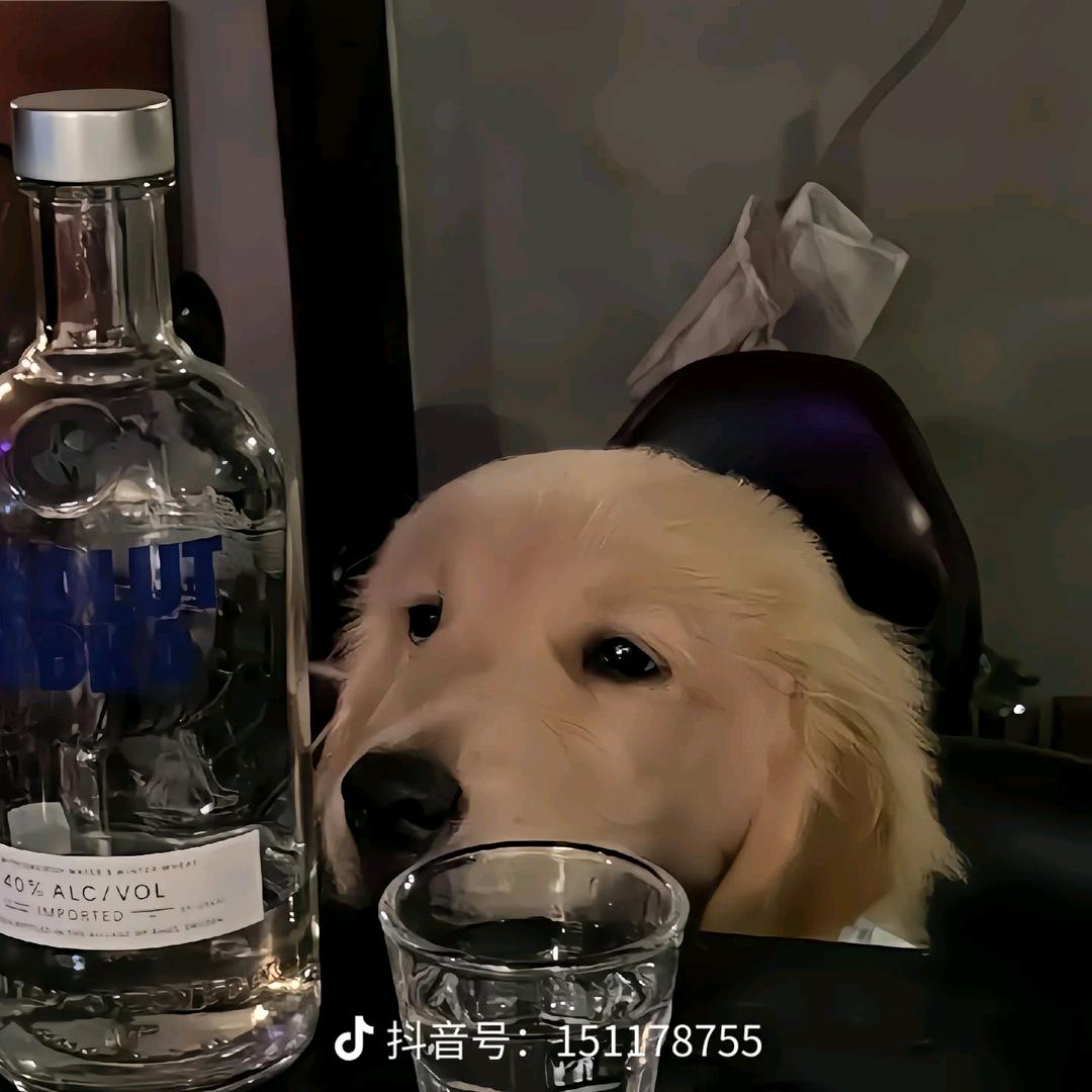 微笑狗