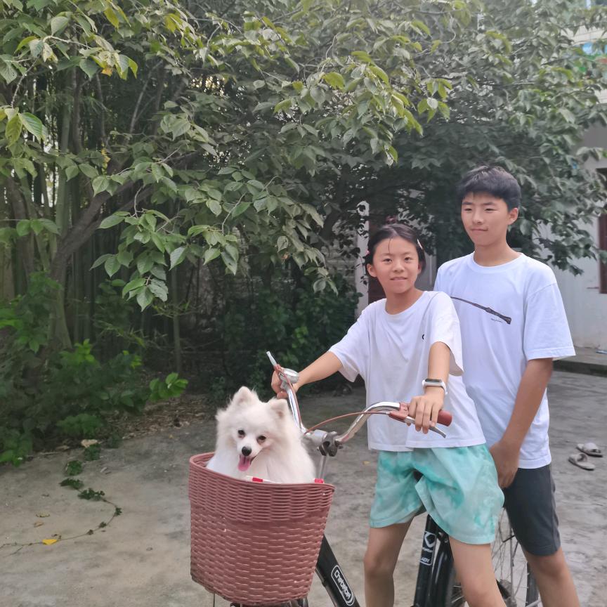 小刘🌵同学
