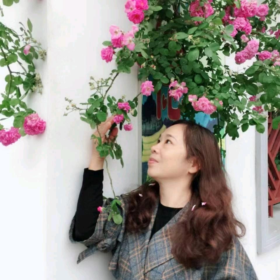 葵花朵朵