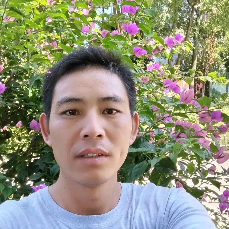爱我不后悔