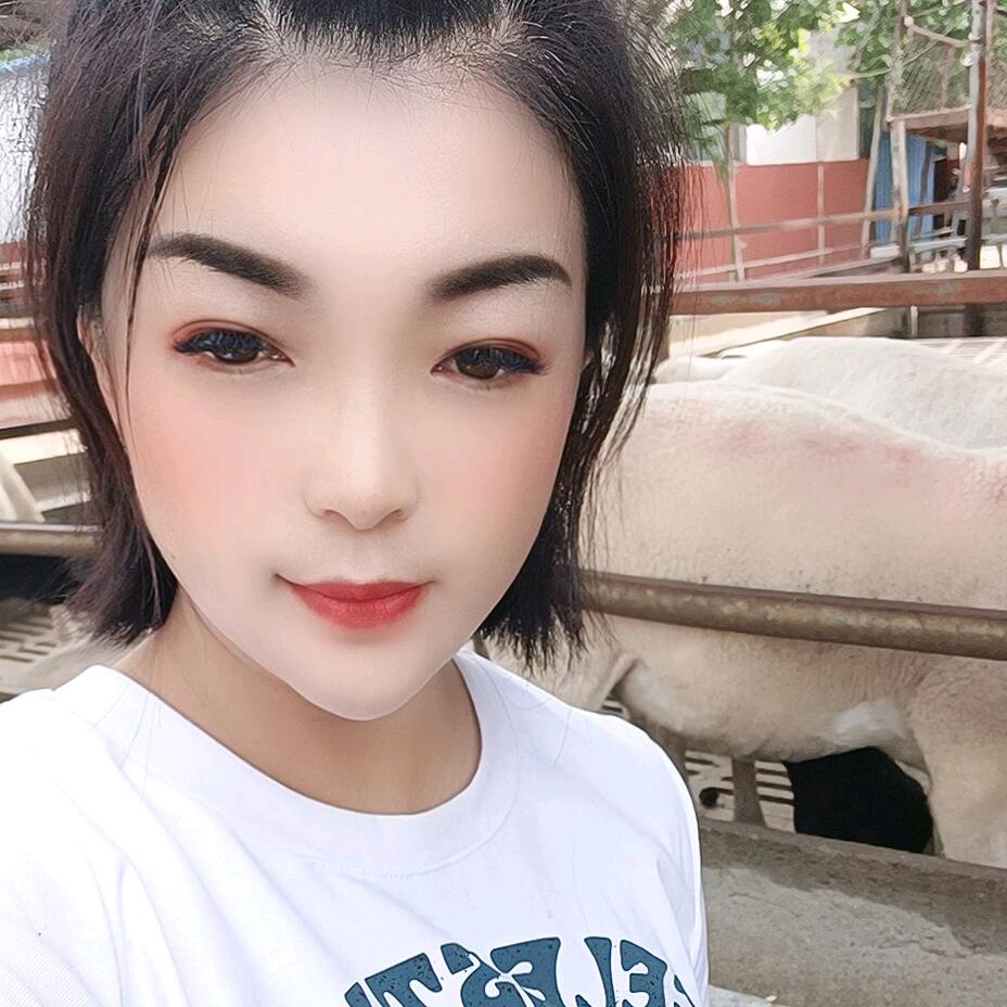 种羊养殖