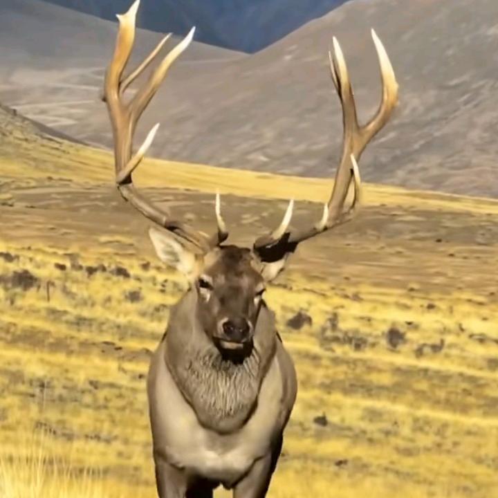 1376