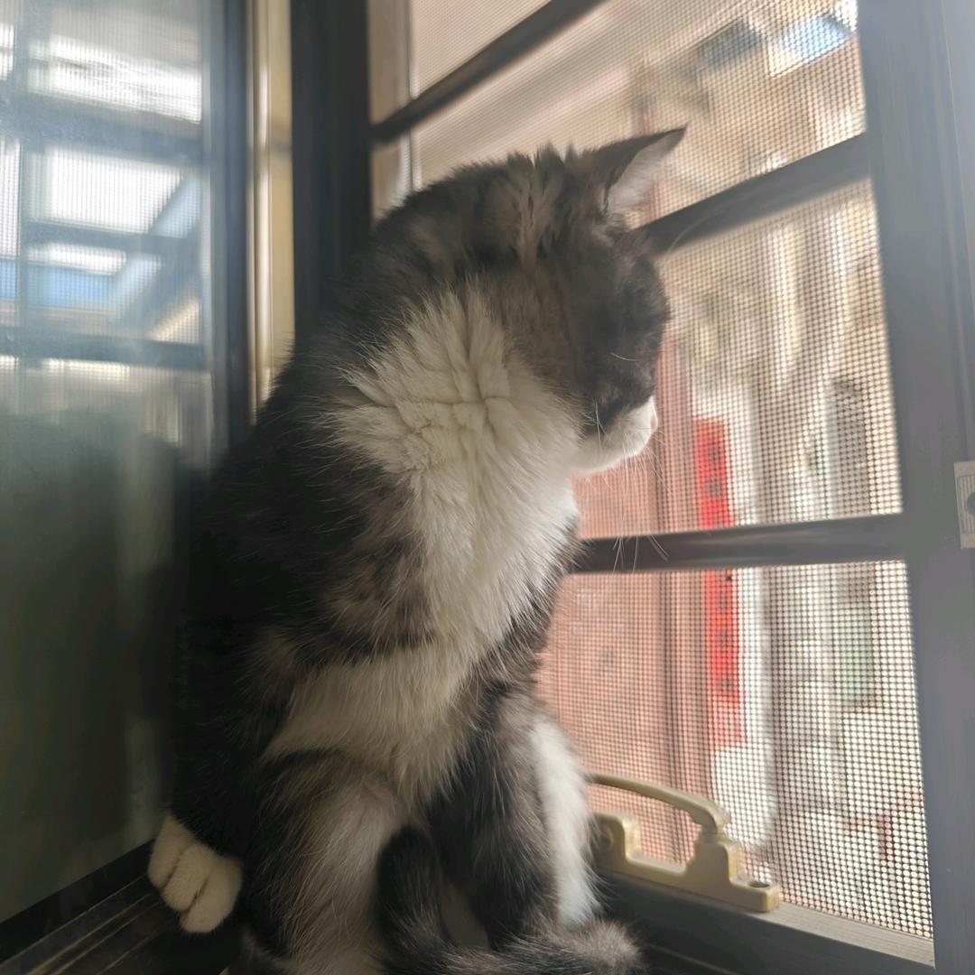 深情